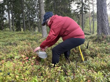 Pyllykän kanssa amrjametsällä