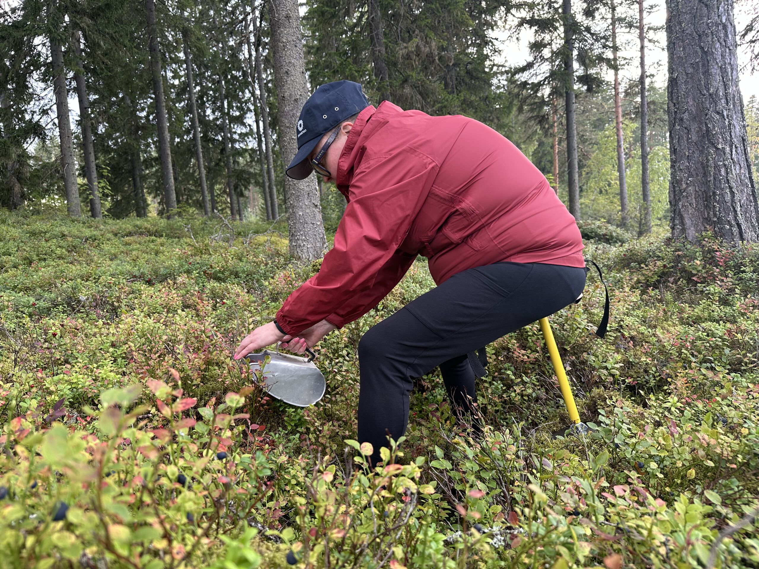 Pikatestissä Pyllykkä ­– takamukseen vyötettävä jakkara yllätti