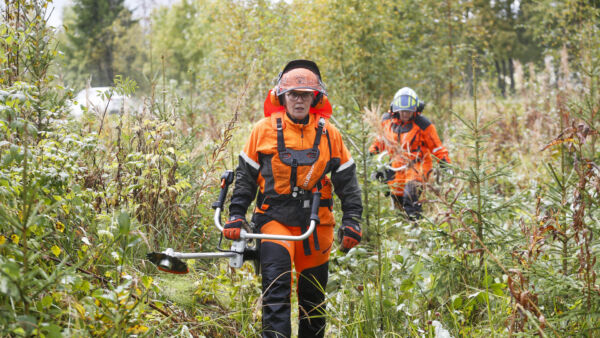 Husqvarnan uudella akulla raivaa taimikkoa saman ajan kuin bensatankillisella. Stihlin uusi pikalaturi lataa akun täyteen vain vartissa. (Kuva: Sami Karppinen)
