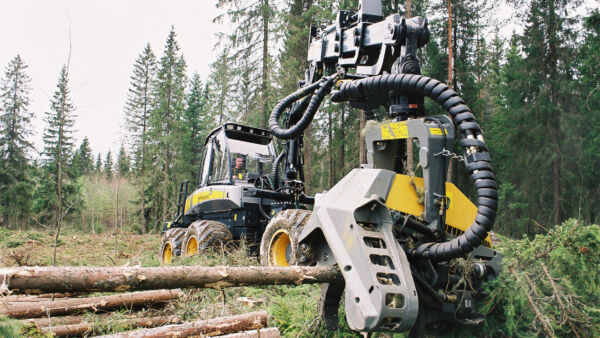 Metsäteollisuuden tilanne on ollut jo pitkään hankala. Polttoaineiden voimakas hinnannousu lisää säästöpaineita entisestään. (Kuvaaja: Mikko Riikilä)