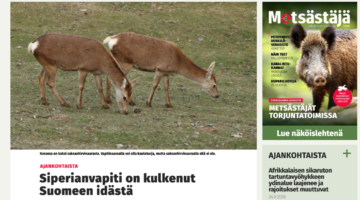 Siperianvapitin Suomeen tulosta kirjoitti muun muassa Metsästäjä-lehti.