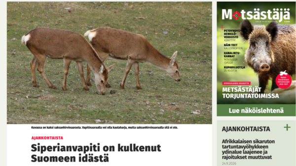 Siperianvapitin Suomeen tulosta kirjoitti muun muassa Metsästäjä-lehti.