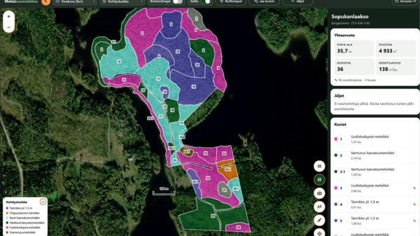 Metsäsuunnitelma-sovelluksessa on kolme tasoa. 