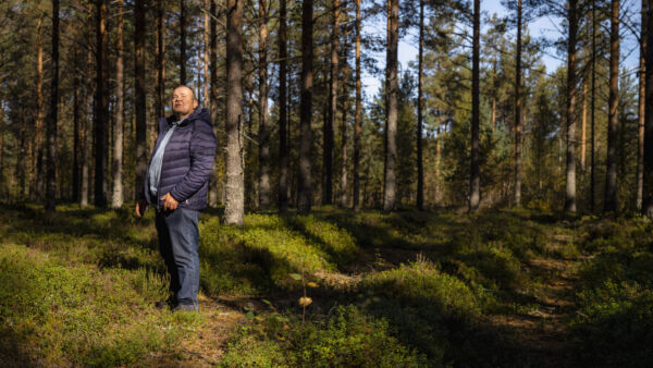 Matti Laurilan metsät ovat mäntyvaltaista talousmetsää. (Kuvaaja: Antti J. Leinonen)