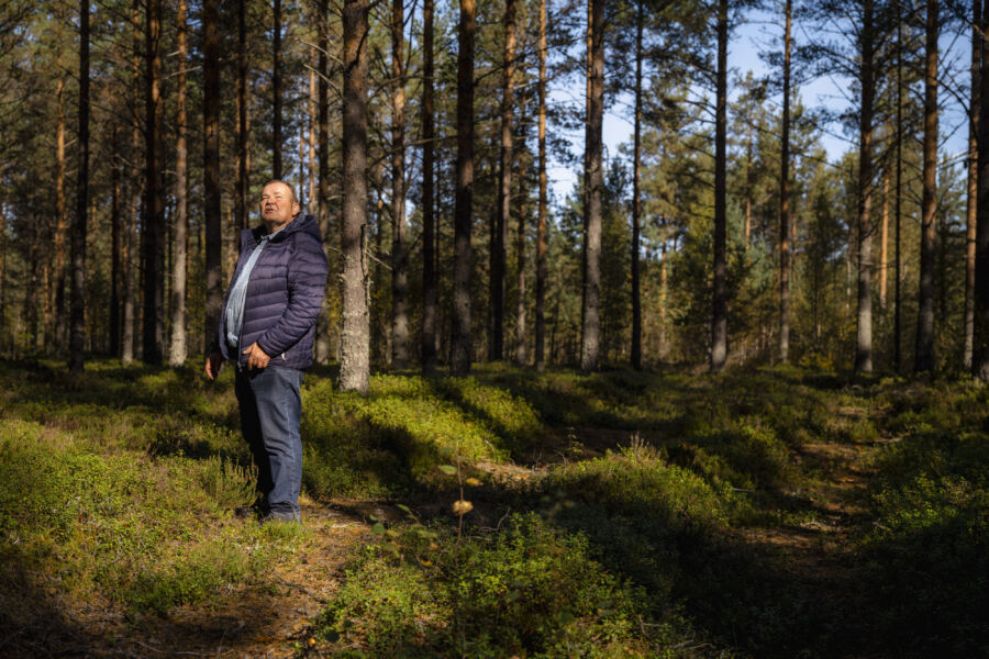 Matti Laurilan metsät ovat mäntyvaltaista talousmetsää. (Kuvaaja: Antti J. Leinonen)