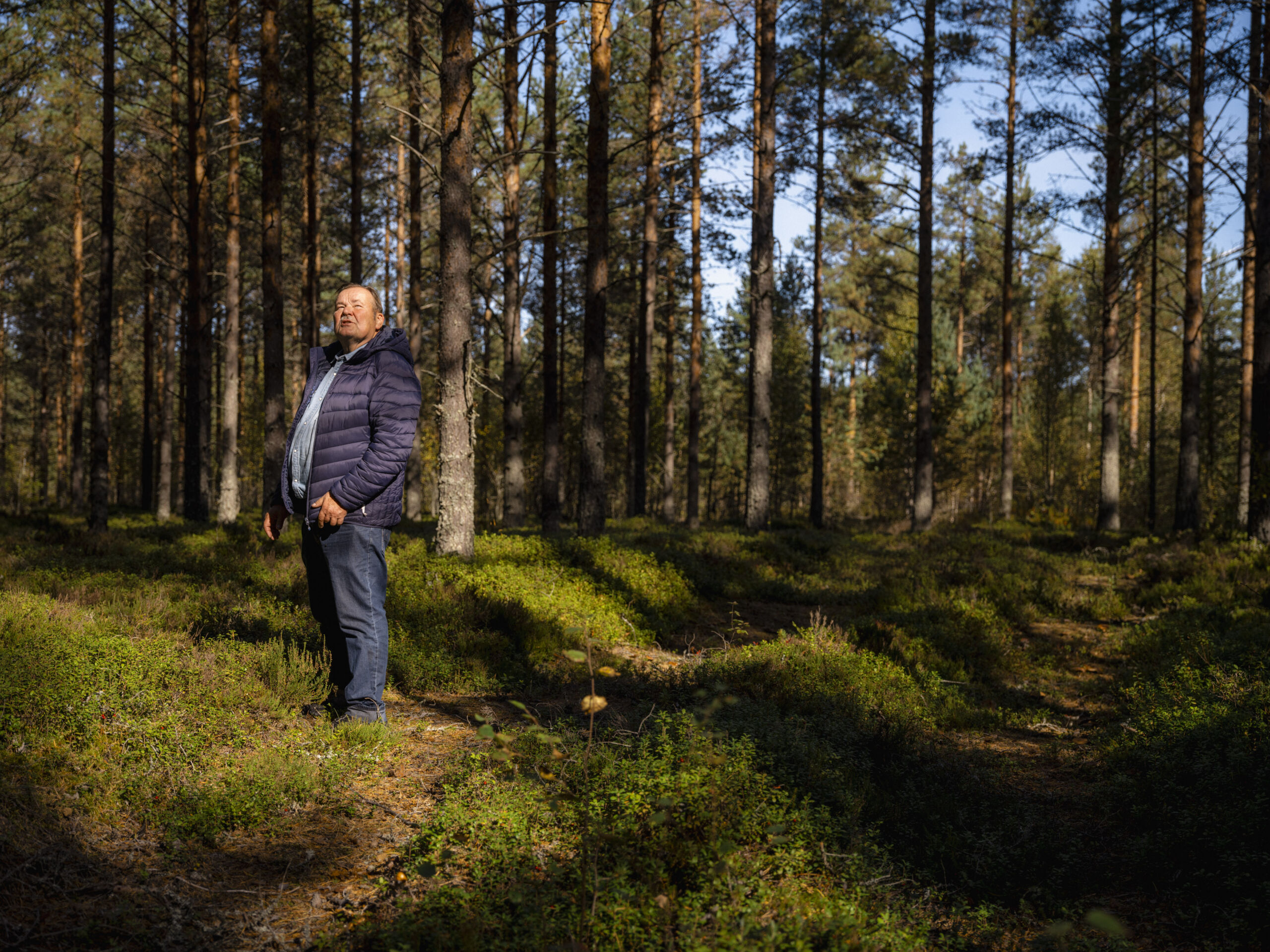 Metsänomistaja: ”Von Dööbeli tykkäsi katsella aukkoja, minä en”