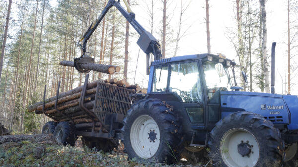 Valmet 6800 traktorin tankin täyttäminen maksaa nyt yli 300 euroa. Polttoaineiden hinnat yhdessä laskeneiden kuitupuun hintojen kanssa ovat saaneet monet aktiiviset hankintahakkaajat pohtimaan työn kannattavuutta.   (Kuvaaja: Sami Karppinen)