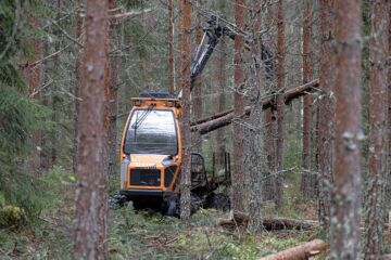 Leveydeltään alle kaksimetrinen Alstor mahtuu harvennettuun metsään ilman ajouria. Korjuu maksaa tavallista enemmän, mutta metsään jää enemmän puita kasvamaan.