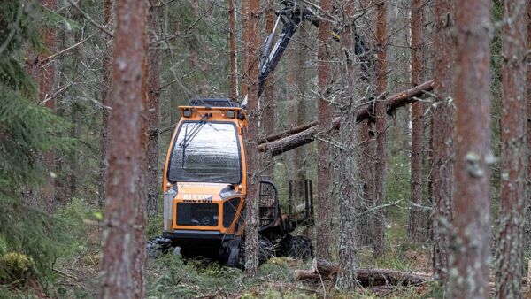 Leveydeltään alle kaksimetrinen Alstor mahtuu harvennettuun metsään ilman ajouria. Korjuu maksaa tavallista enemmän, mutta metsään jää enemmän puita kasvamaan.