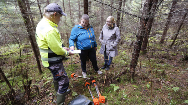 Toimitusinsinööri Jarmo Saukko Maanmittauslaitokselta, metsäyrittäjä Elisa Lähdesmäki sekä Hankasalmen kunnan tekninen päällikkö Tiina Pellinen suunnittelivat kulkuoikeuden paikkaa kunnalle jääville rantatonteille Lähdesmäelle siirtyneen tilan läpi. Tonttien rajapyykit laitettiin samalla maastoon. (Kuvaaja: Sami Karppinen)